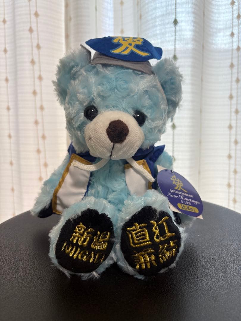 【マサキ様】ご落札分　小田急ロマンスカー/福井恐竜