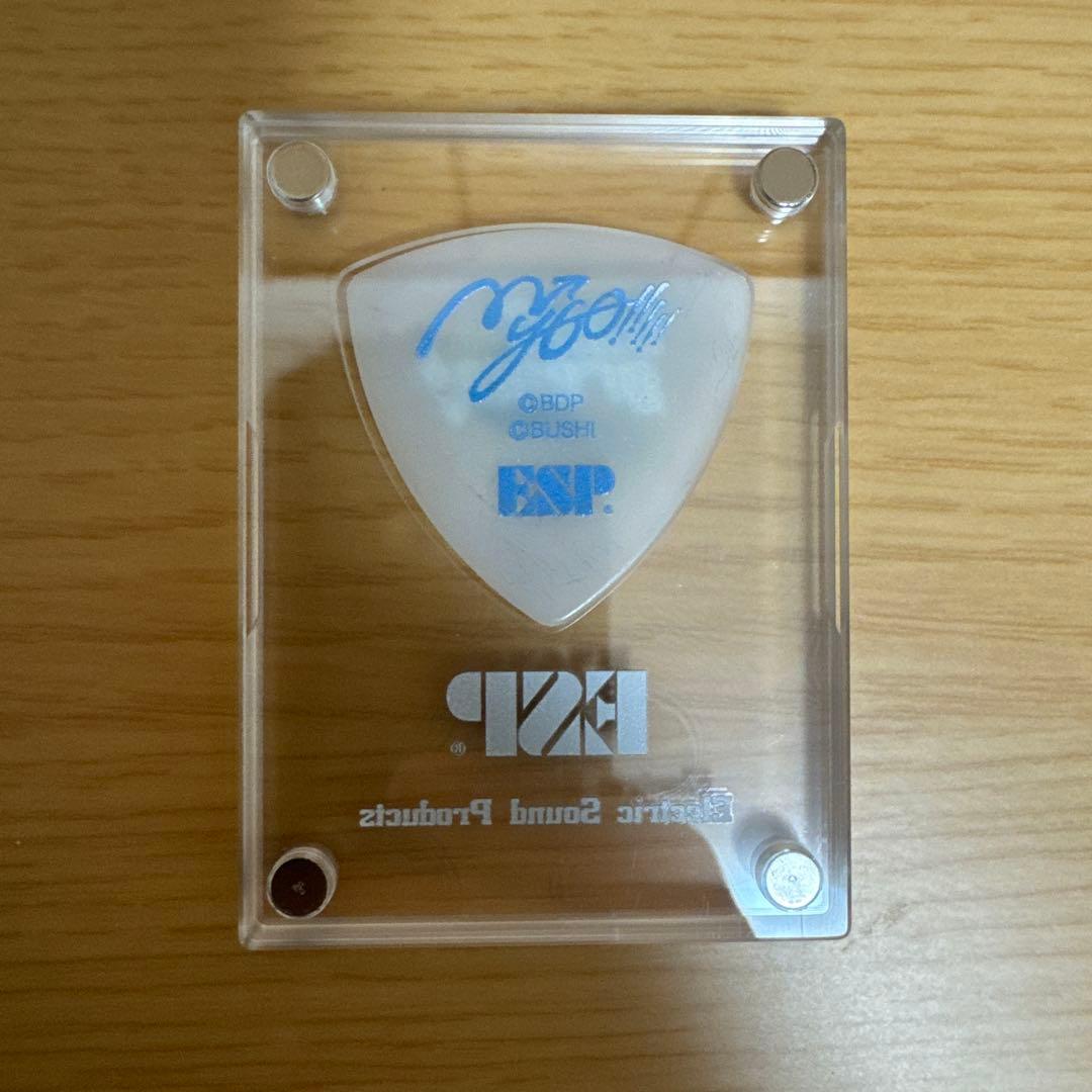 MyGO!!!!! ピック マイゴ ケース付き live ライブ おにぎり型