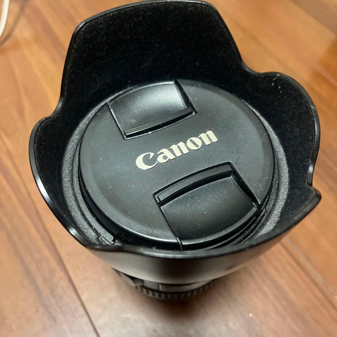 Canon EF 24-105mm f/4 L IS USM 動作確認済・作例有