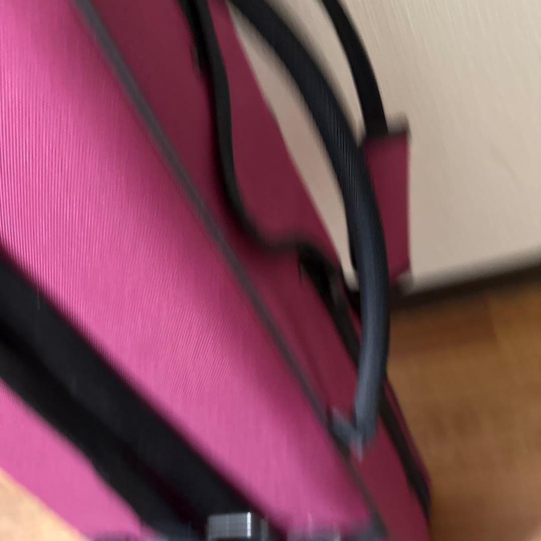 沖縄　三線　弦楽器　ソフトケース付き　リュックタイプ