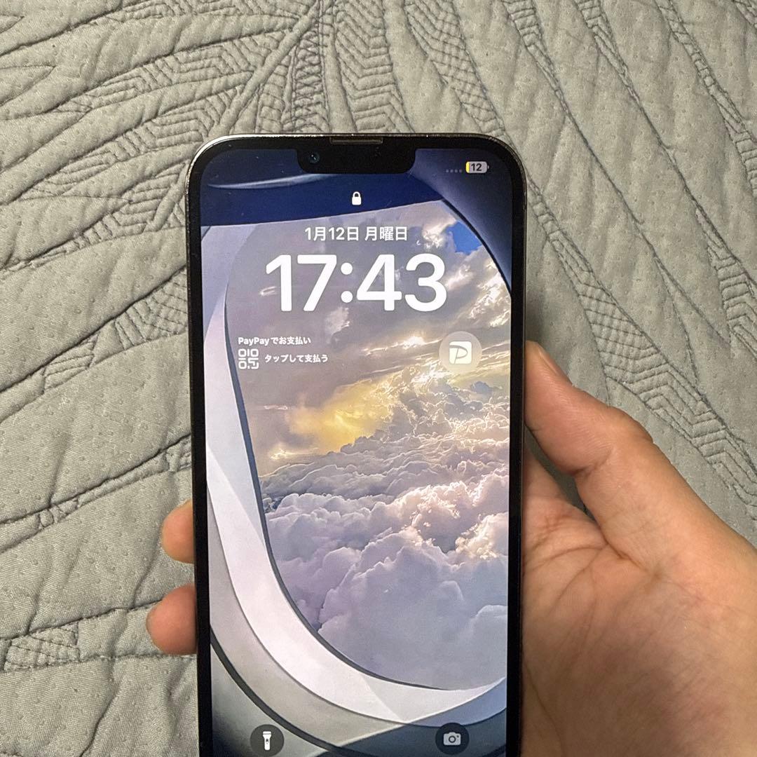 Apple iPhone 13 Pro max 1TB SIMフリー