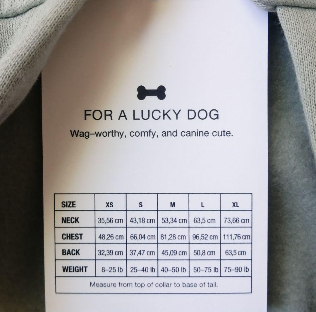 GAP　ロゴ　 フード付きパーカー　 XSサイズ　新色　 2枚セット♫