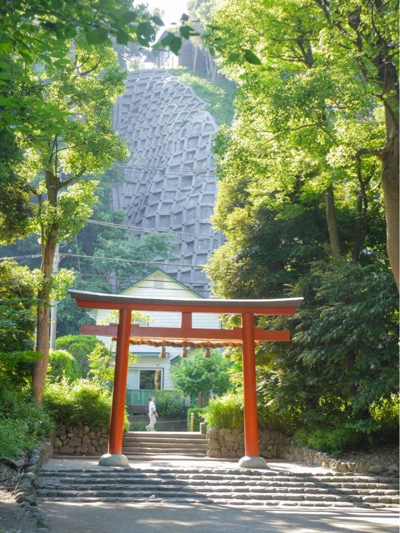 LUMIX G6 & DJI Ronin SC 映像制作用フルセット