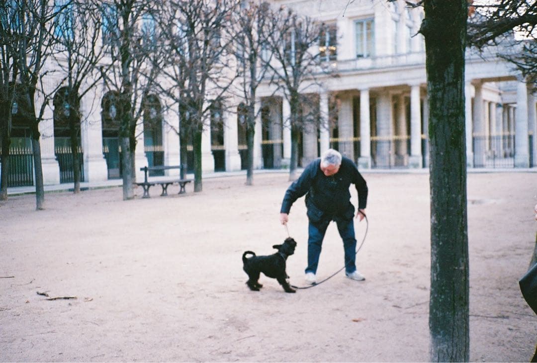 CONTAX コンタックス T2