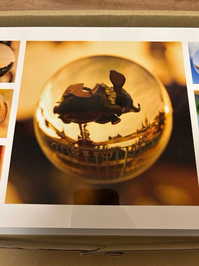 レア　ディズニー　イマジニングザマジック　アート　パネル　魚眼レンズ