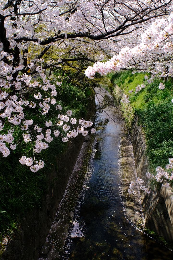 【knockさま限定】 単焦点 Ai AF Nikkor 20mm f/2.8D