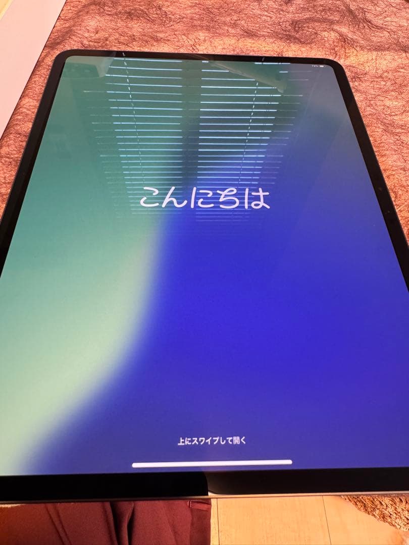 美品　Apple iPad Pro (M4) 13インチ256GB Wi-Fi