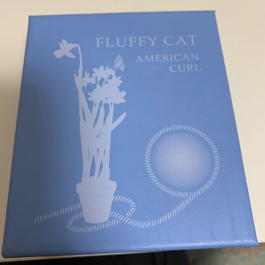 フィジー銀貨　アメリカンカール