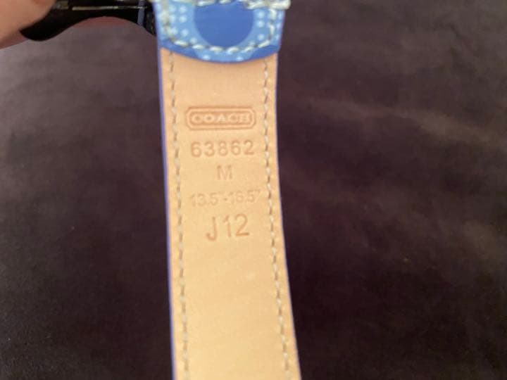 【新品•未使用】超レアCoach 犬用首輪 サイズM