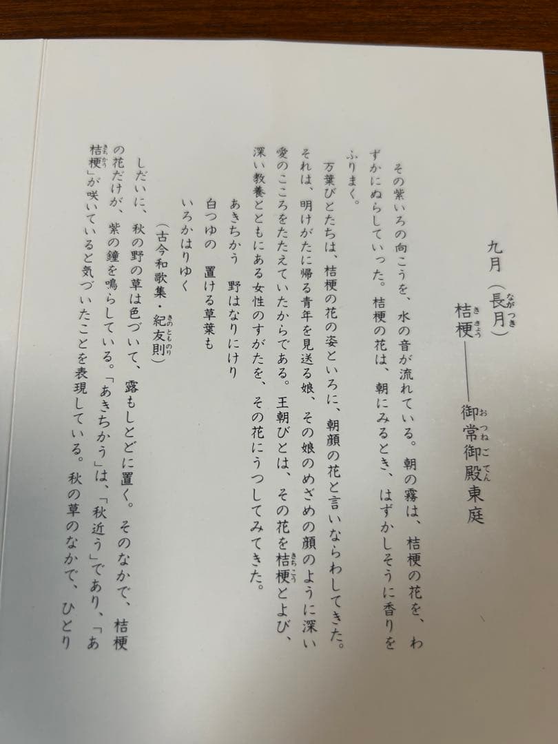 133桑野むつ子 京都 御所の花十二ヶ月【9月桔梗】抹茶椀・和陶皿 しおり付き