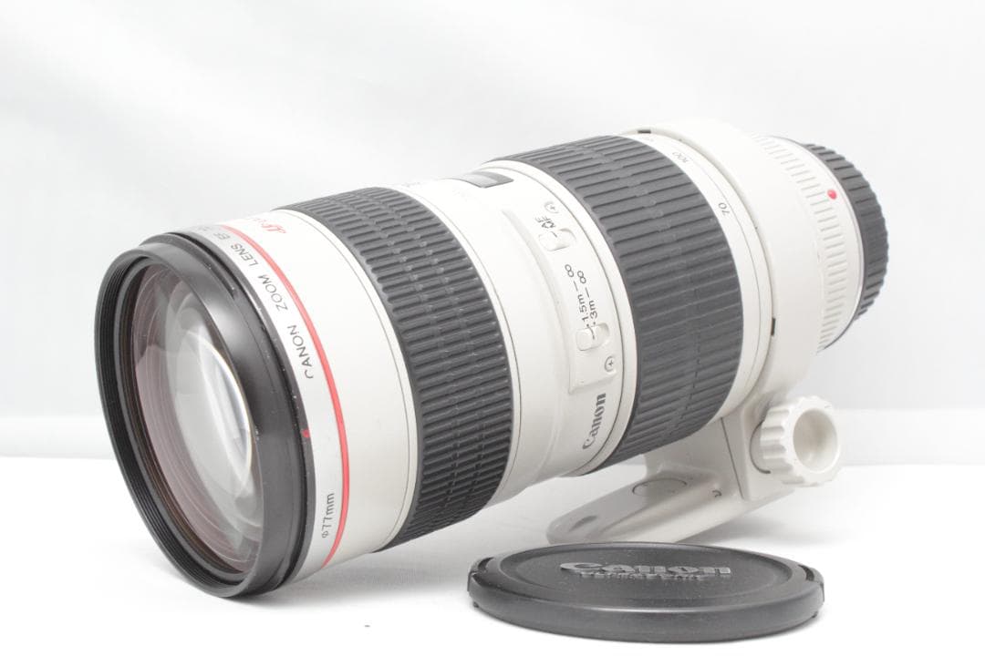 棘 (トゲ) Canon EF 70-200mm 1:2.8 L