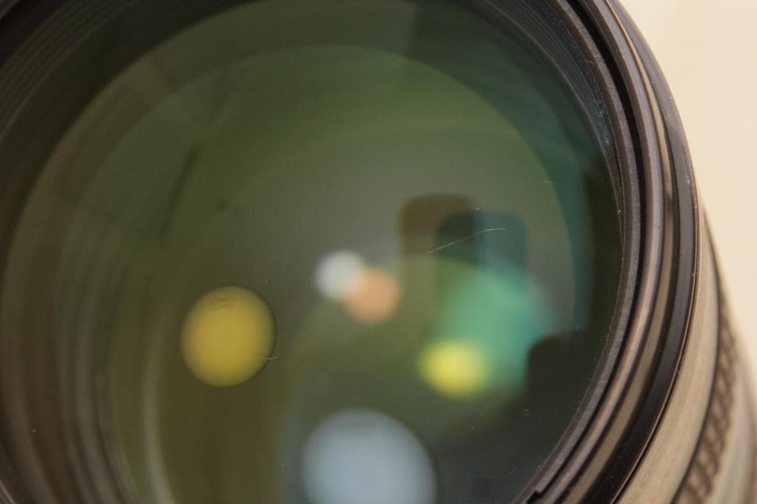 棘 (トゲ) Canon EF 70-200mm 1:2.8 L