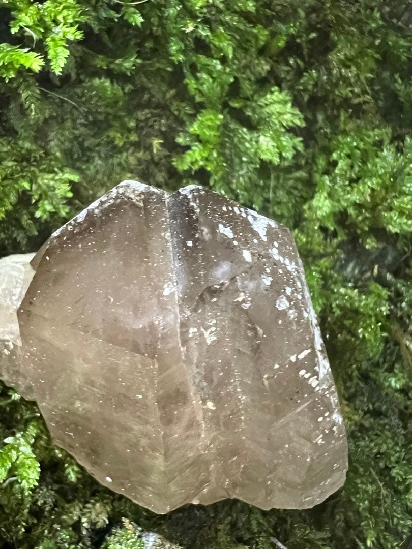 龍脈の精髄 ⭐︎九州産煙水晶ツイン 「大地と縁を結ぶ祓いの力」【保護猫活動支援】