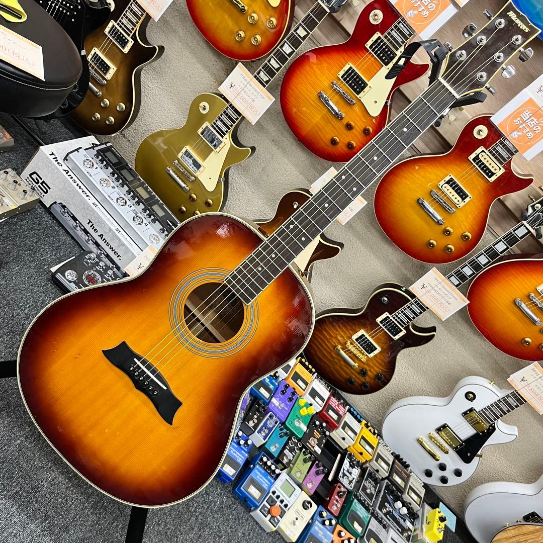 【11562】Morris アコースティックギター