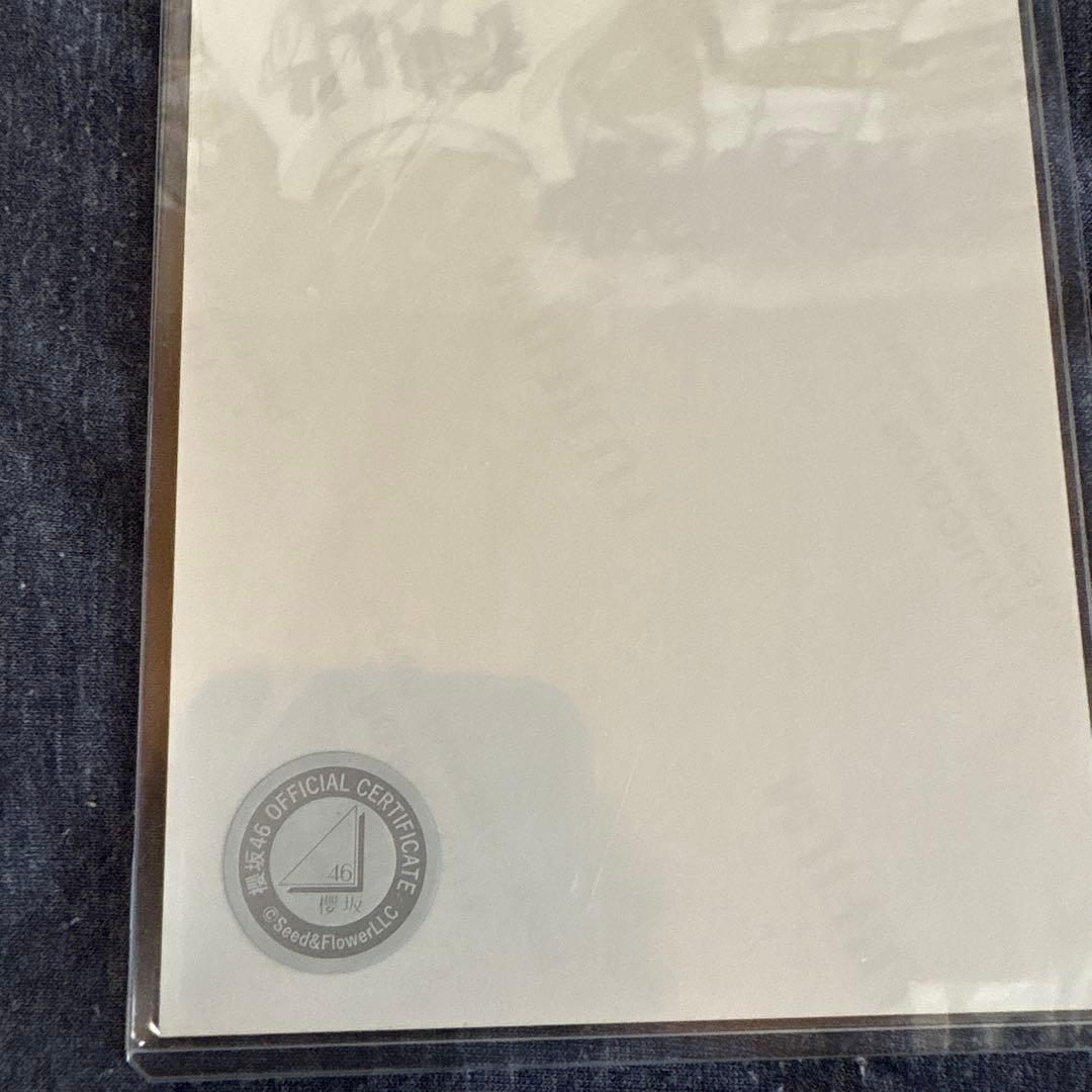 櫻坂46 幸坂茉里乃　2024年4thアニラサンタ衣装 直筆生写真、座り