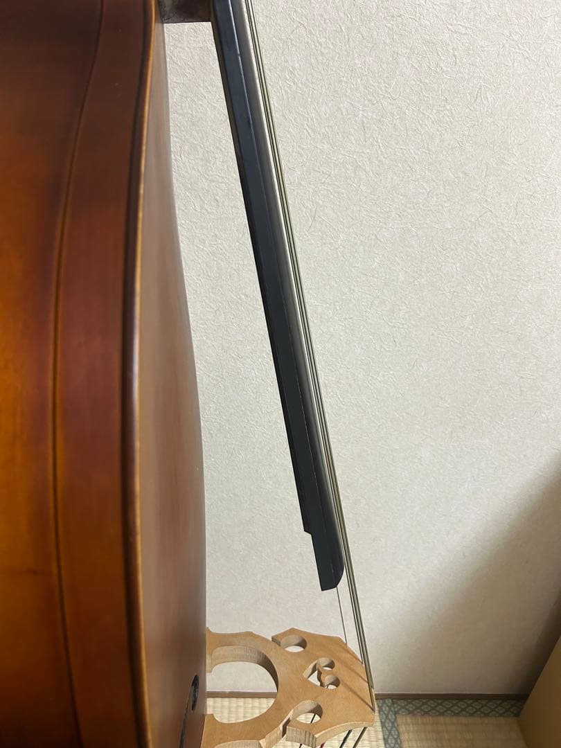 【関西での手渡し】ハルシュタット コントラバス WBS-800