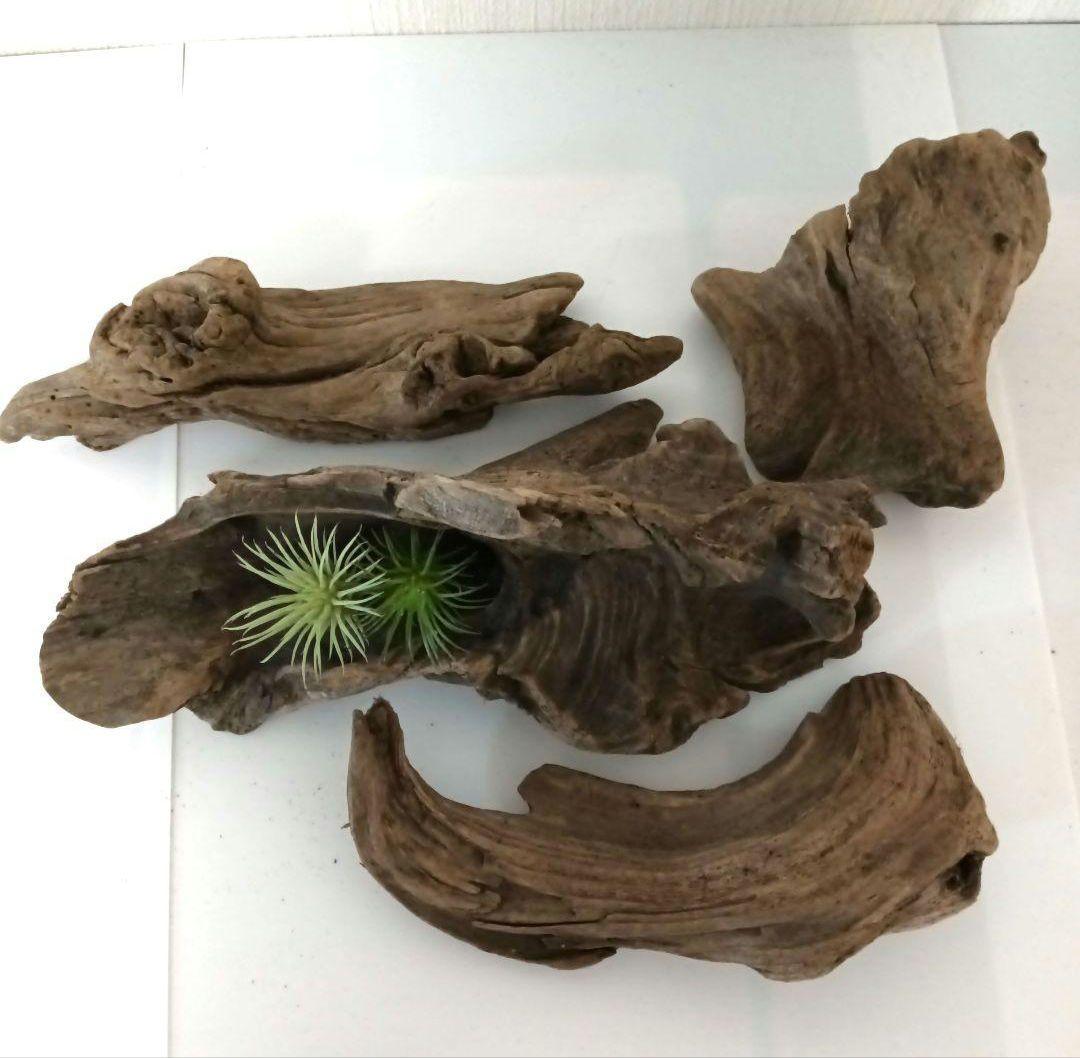 シグノ様　流木465　468　 469 　リクエスト　3点 おまとめ商品