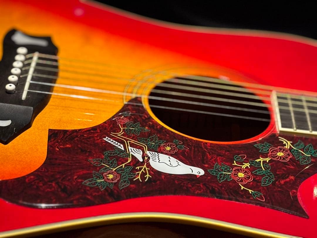 Morris Dove Model WD-30 美品