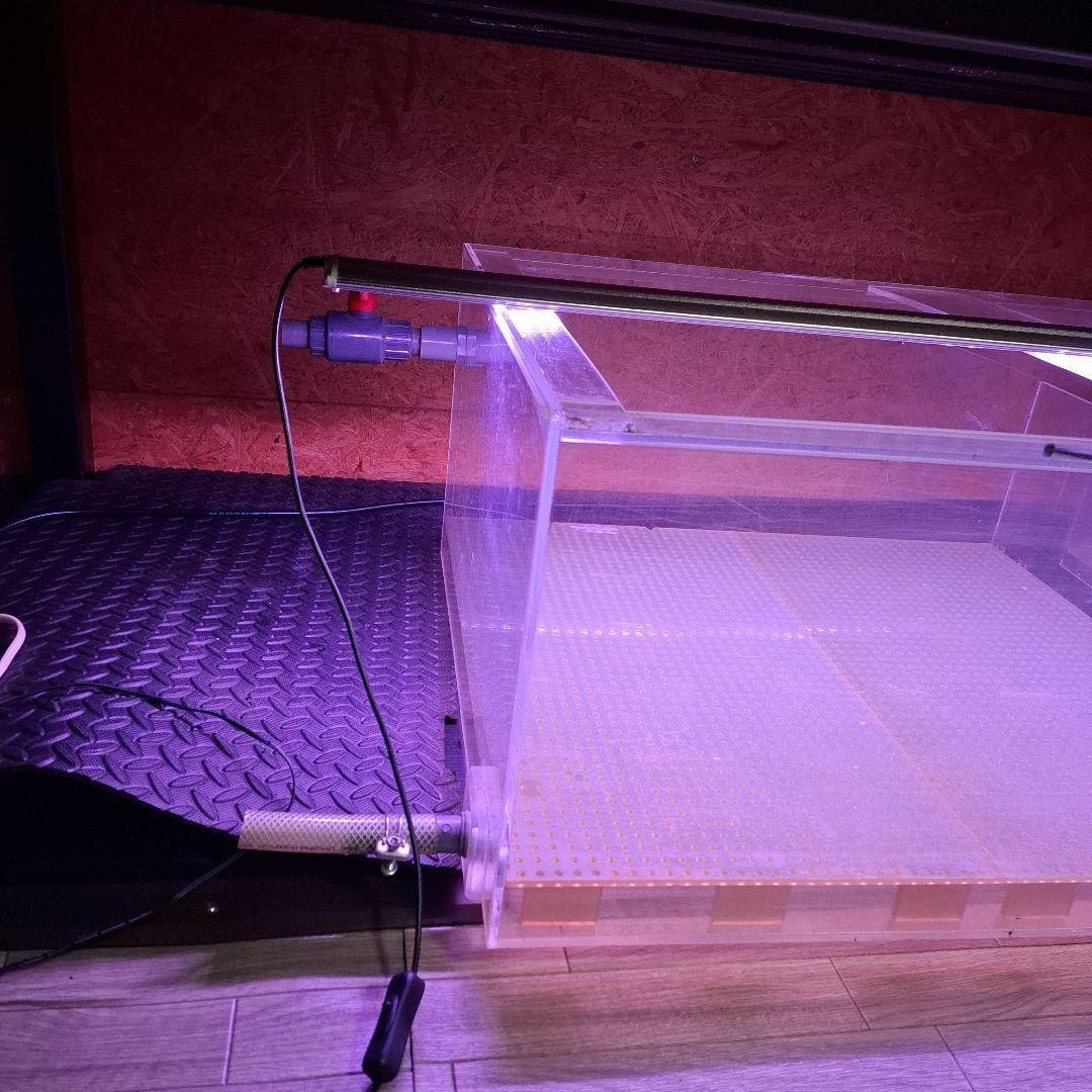 茨城　ろ過層　アクリル水槽　1000×600×350