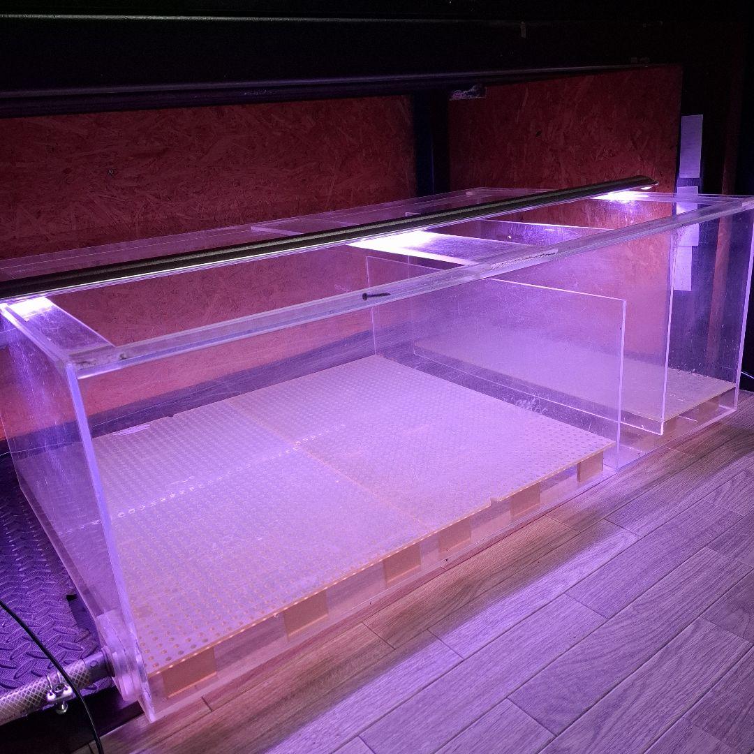 茨城　ろ過層　アクリル水槽　1000×600×350