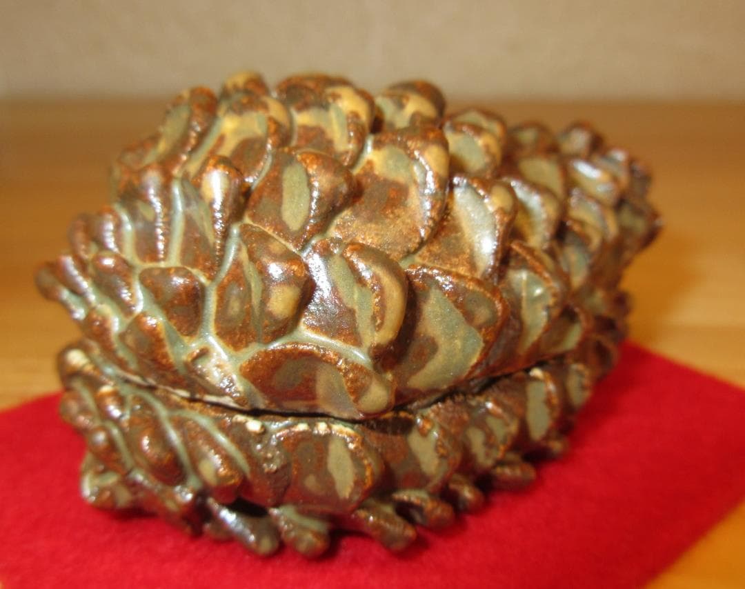 送料込【逢絢亭】茶道具 香合 美濃焼 松毬香合 柴田好寛 共箱入り