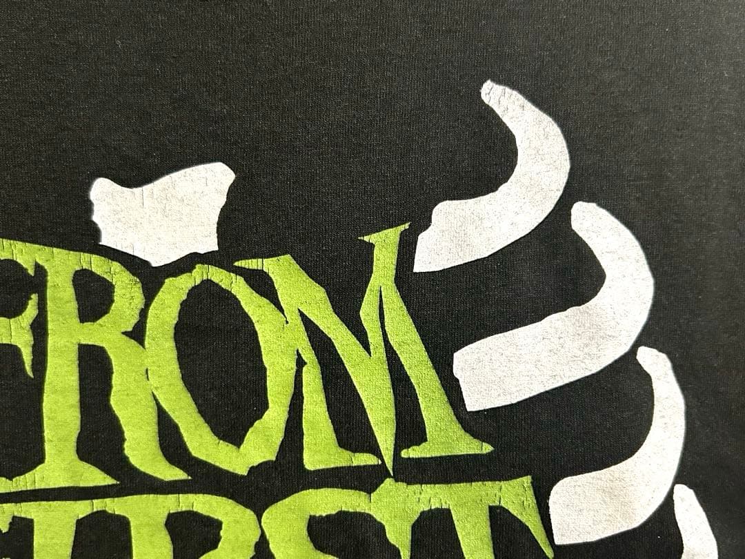 FROM FIRST TO LAST Ribcage Tee S？