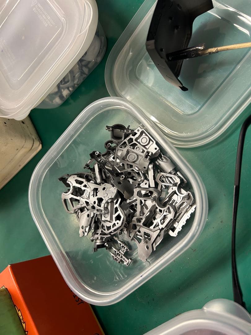 夏休み限定 全塗装 サイサリス