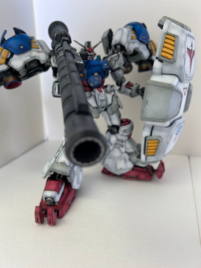 夏休み限定 全塗装 サイサリス