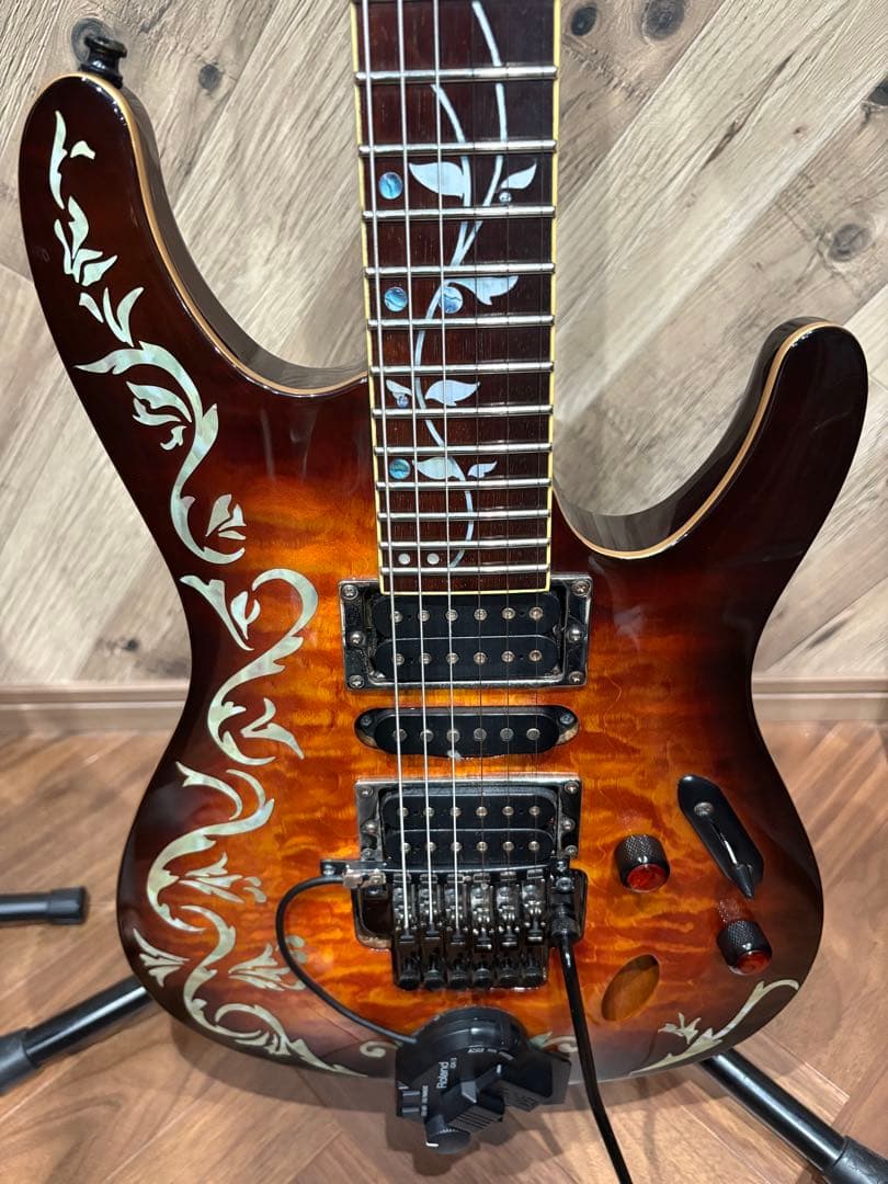 アイバニーズS670QM (DEB) GK-3付き