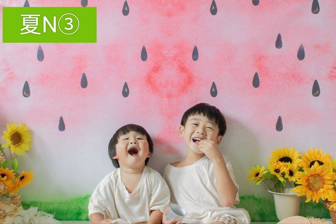 業務用　トリミングチョーカー　バレンタインリボン　苺　いちご　背景布　セット