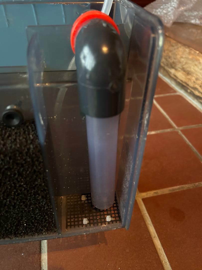 プロテインスキマー コンパクト QQ3