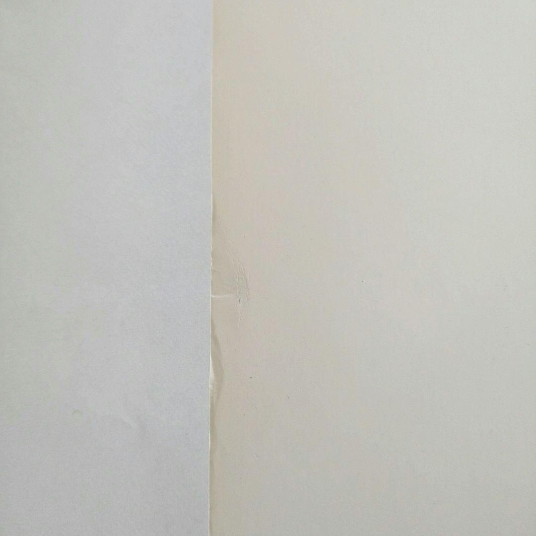 【激レア】ローリング・ストーンズ 初来日記念 ポカリスエットB2 ポスター ②