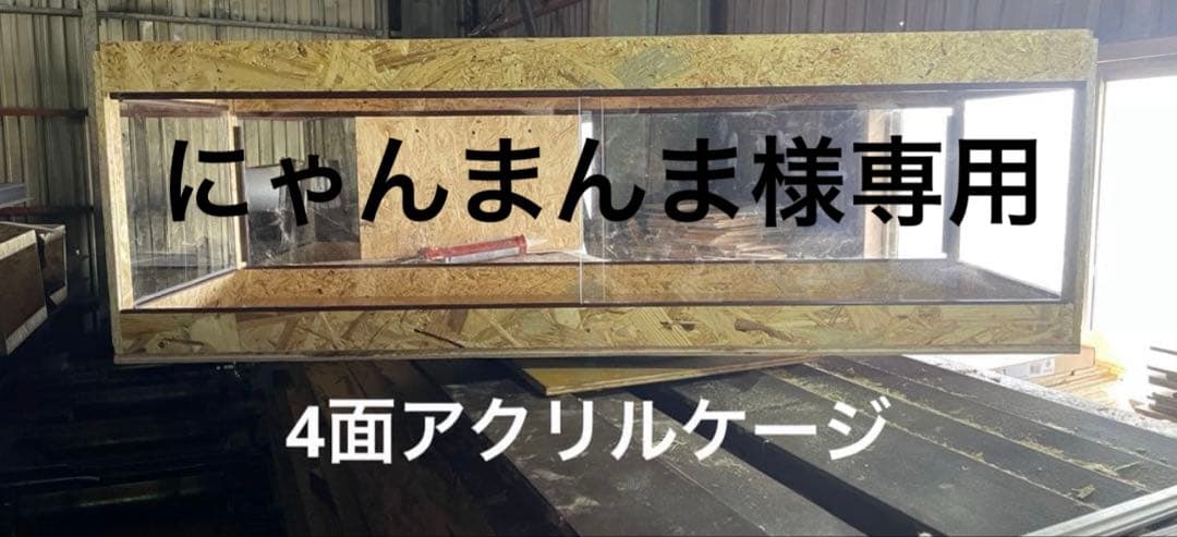 にゃんまんま　1205540