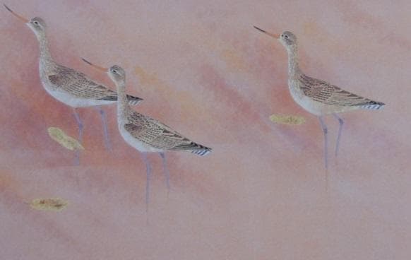 上村淳之、【秋信】、希少な額装用画集より、新品額装付