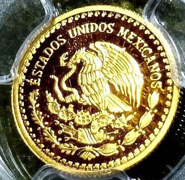 PCGS 2022 最高鑑定　PR70 DCAM 1/10oz　世界38枚