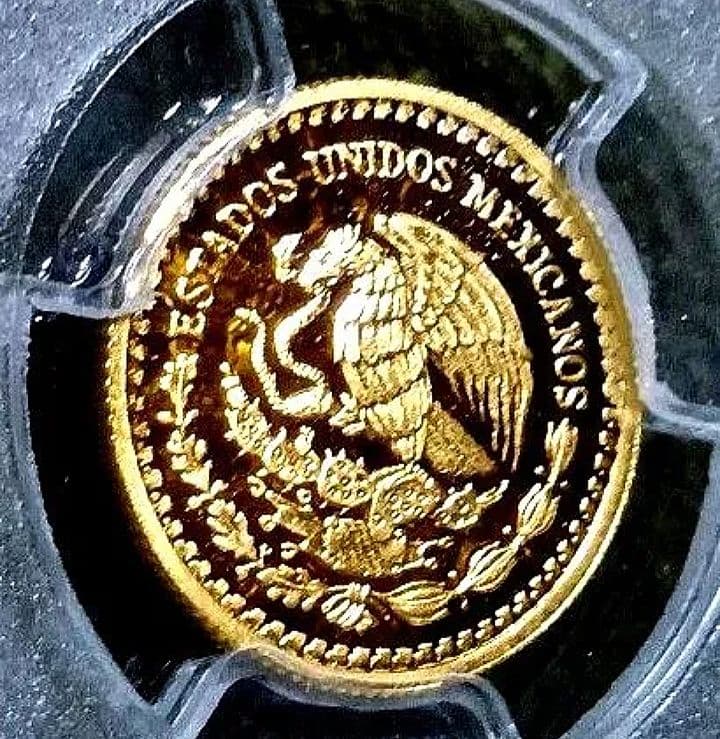 PCGS 2022 最高鑑定　PR70 DCAM 1/10oz　世界38枚