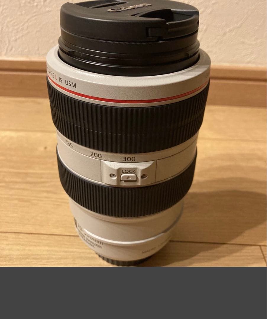 Canon EF70-300mm F4-5.6L IS USM(フィルター付き)