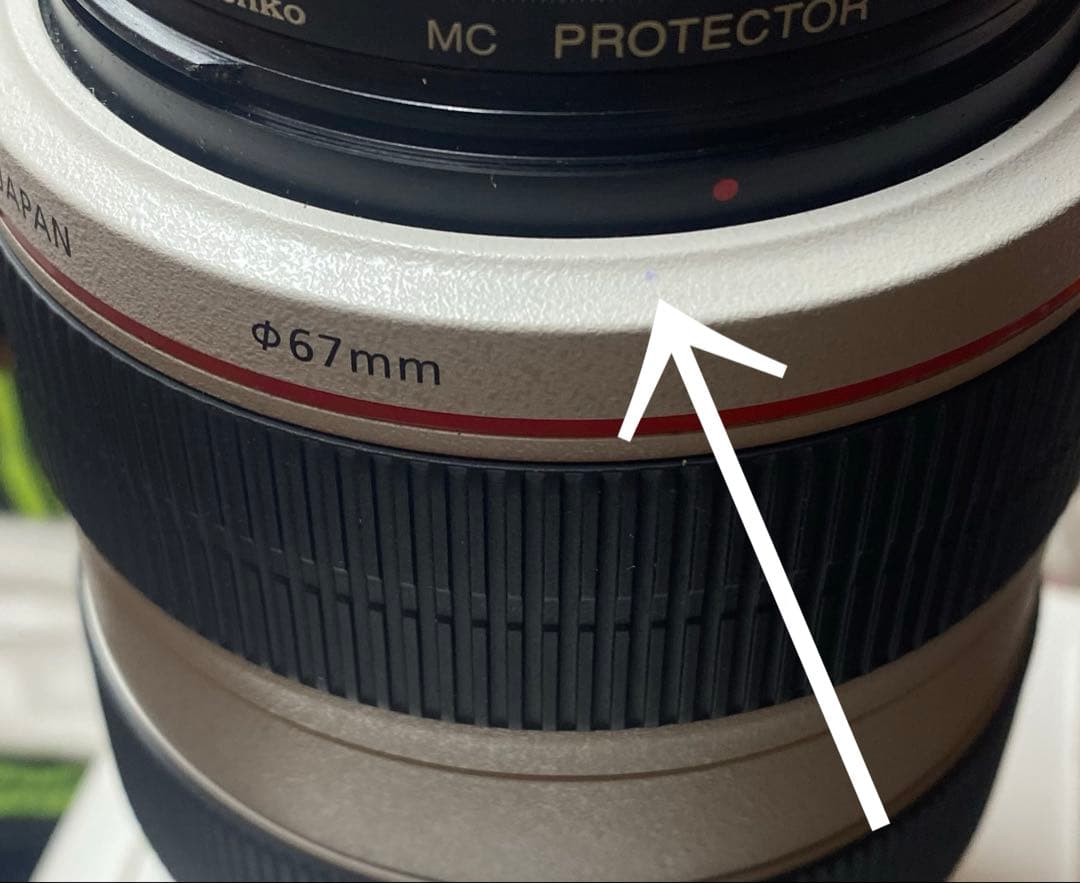 Canon EF70-300mm F4-5.6L IS USM(フィルター付き)