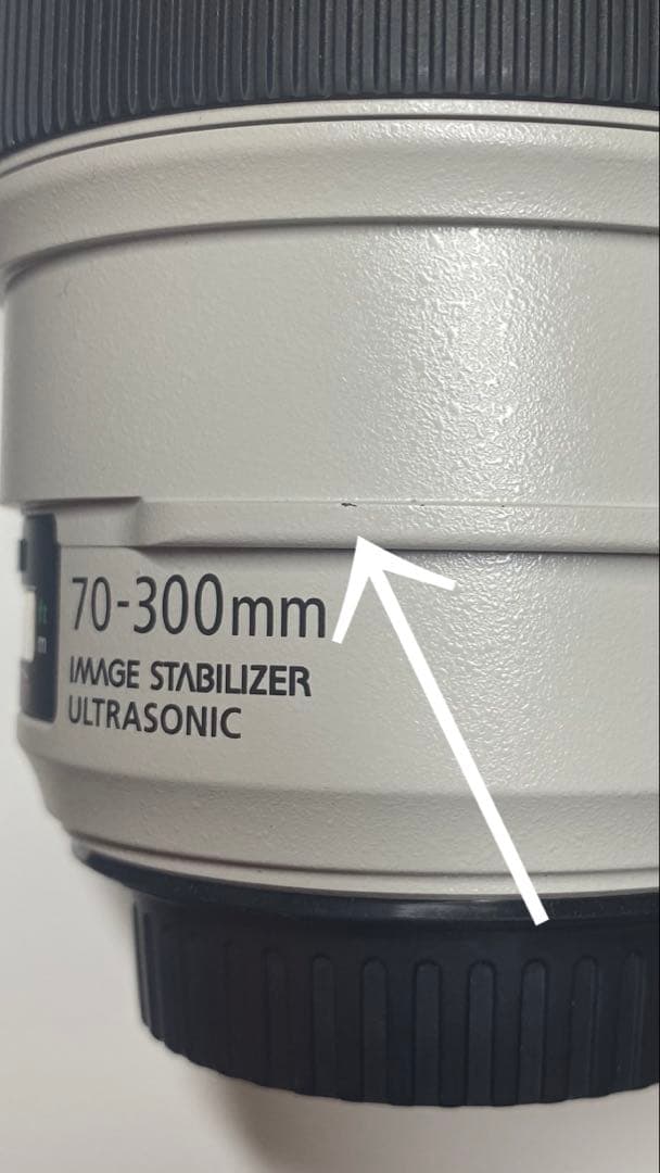 Canon EF70-300mm F4-5.6L IS USM(フィルター付き)