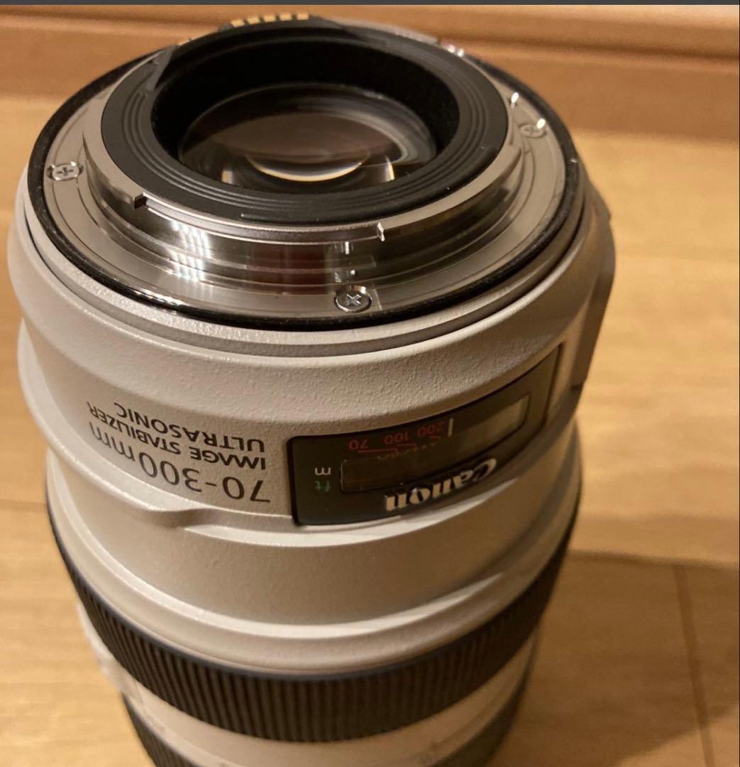 Canon EF70-300mm F4-5.6L IS USM(フィルター付き)
