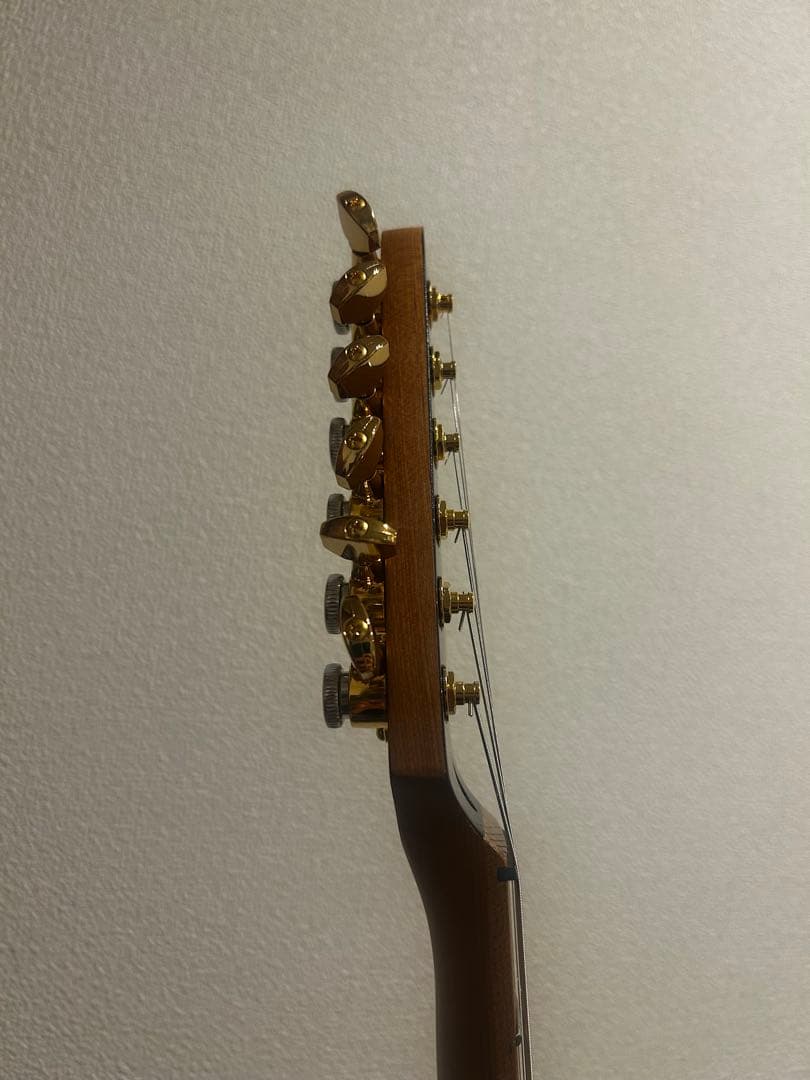 Bacchus BTE-1DX RSM MOD テレキャスター suhr