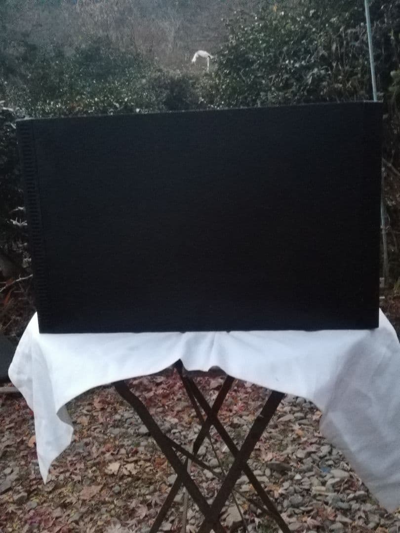 BOSE ホームシアターシステムの一部でパワードスピーカー