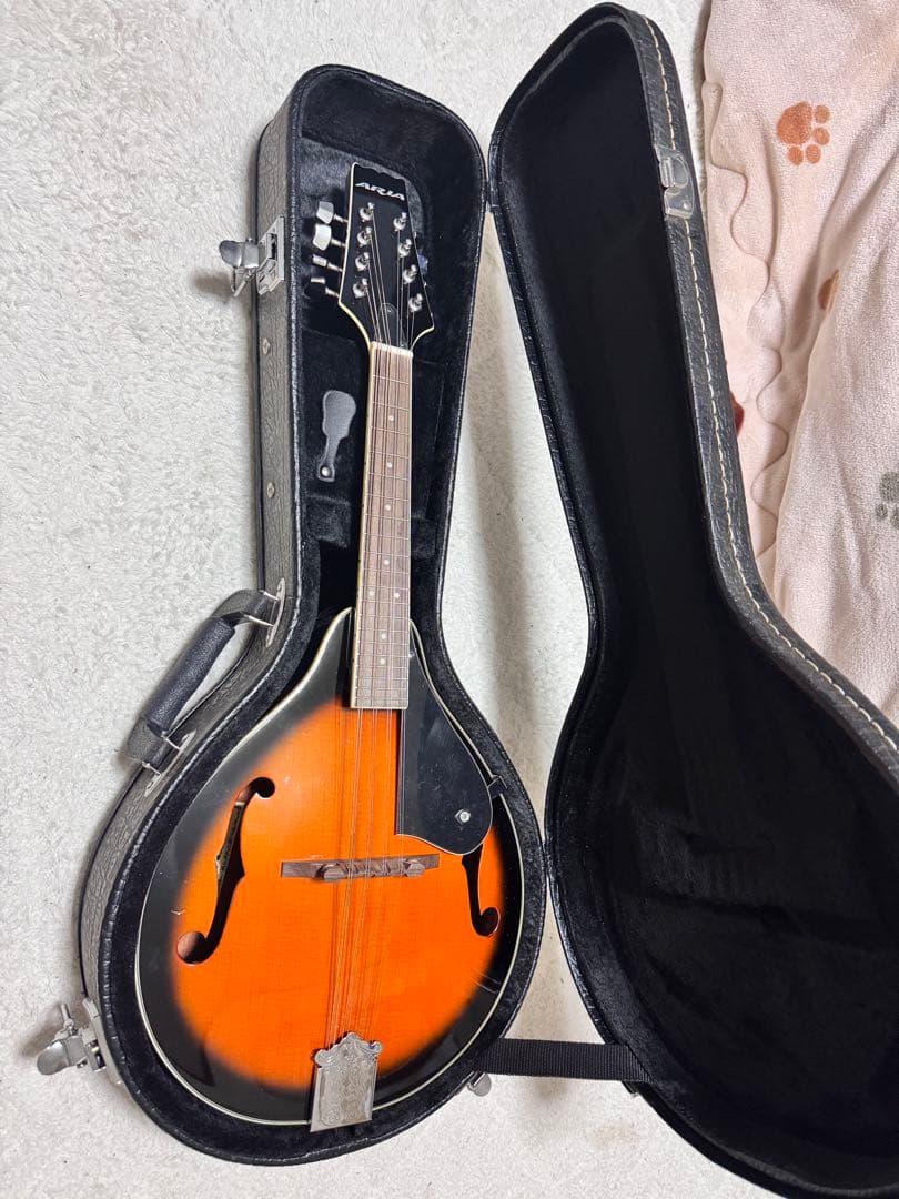 【超美品】Aria AM-20 フラットマンドリン超美品　専用ハードケース 楽器
