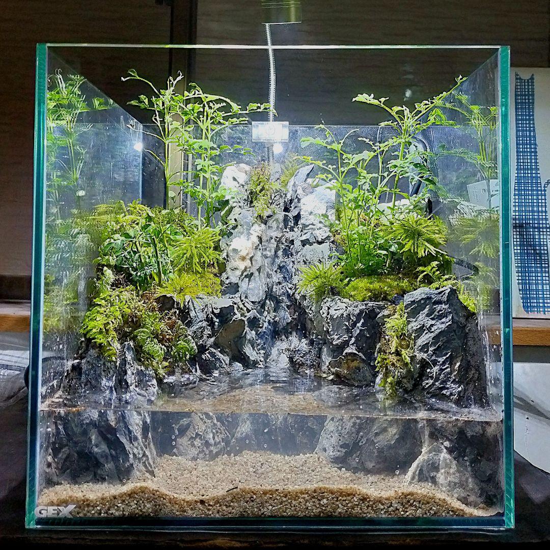 滝の流れるアクアテラリウム　たつ
