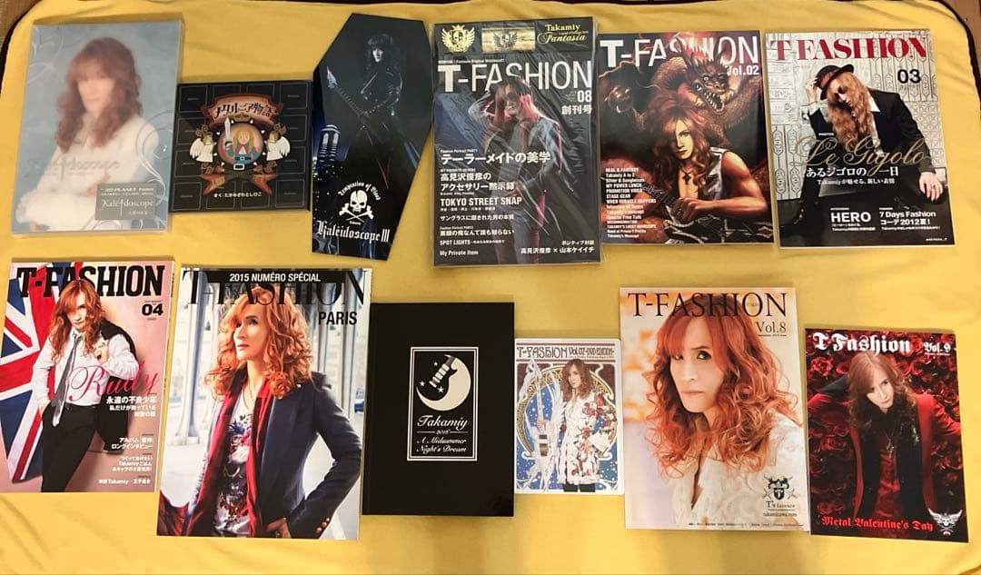 THE ALFEE 高見沢俊彦パンフ12冊セット　付属品追加