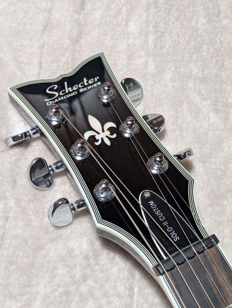 K*a様 SCHECTER シェクター SOLO-ⅱ CUSTOM GNAT