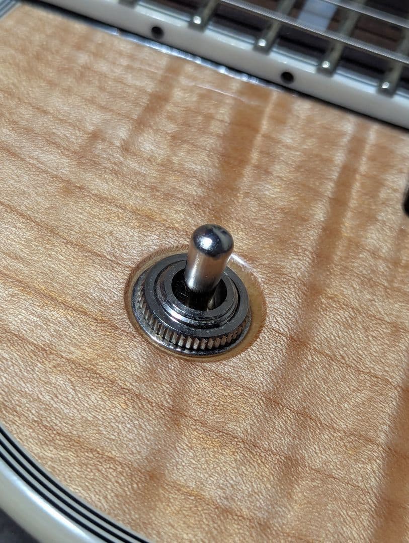 K*a様 SCHECTER シェクター SOLO-ⅱ CUSTOM GNAT