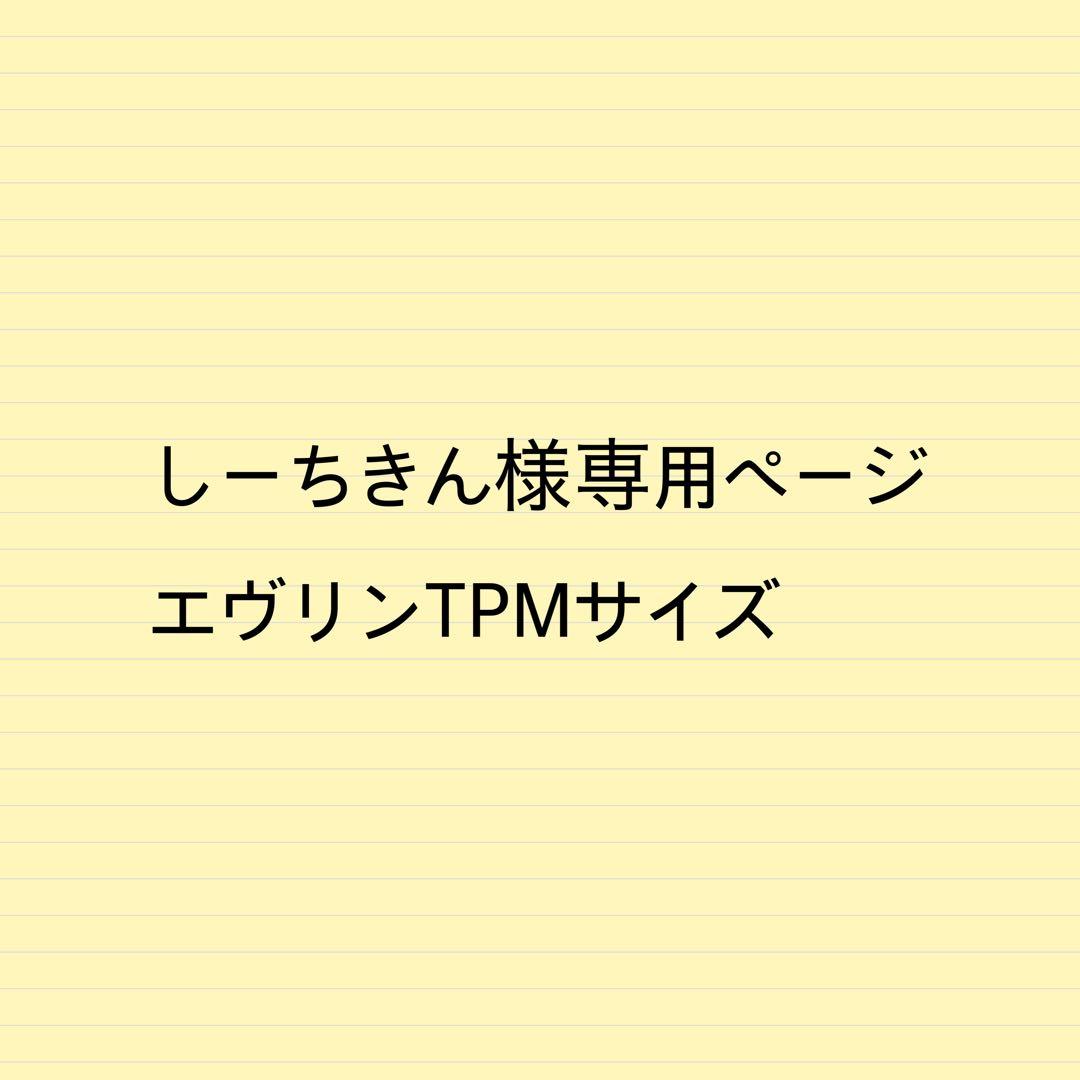 しーちきんページエヴリンtpmサイズバッグインバッグ