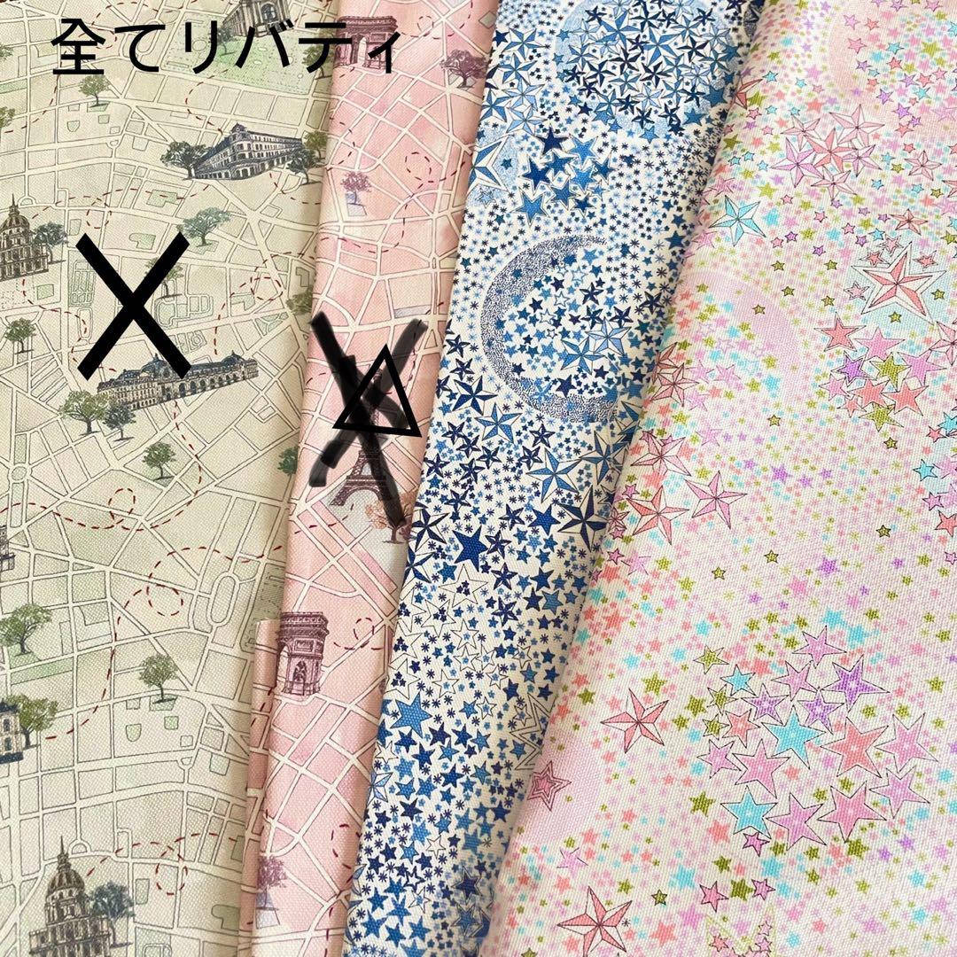 しーちきんページエヴリンtpmサイズバッグインバッグ