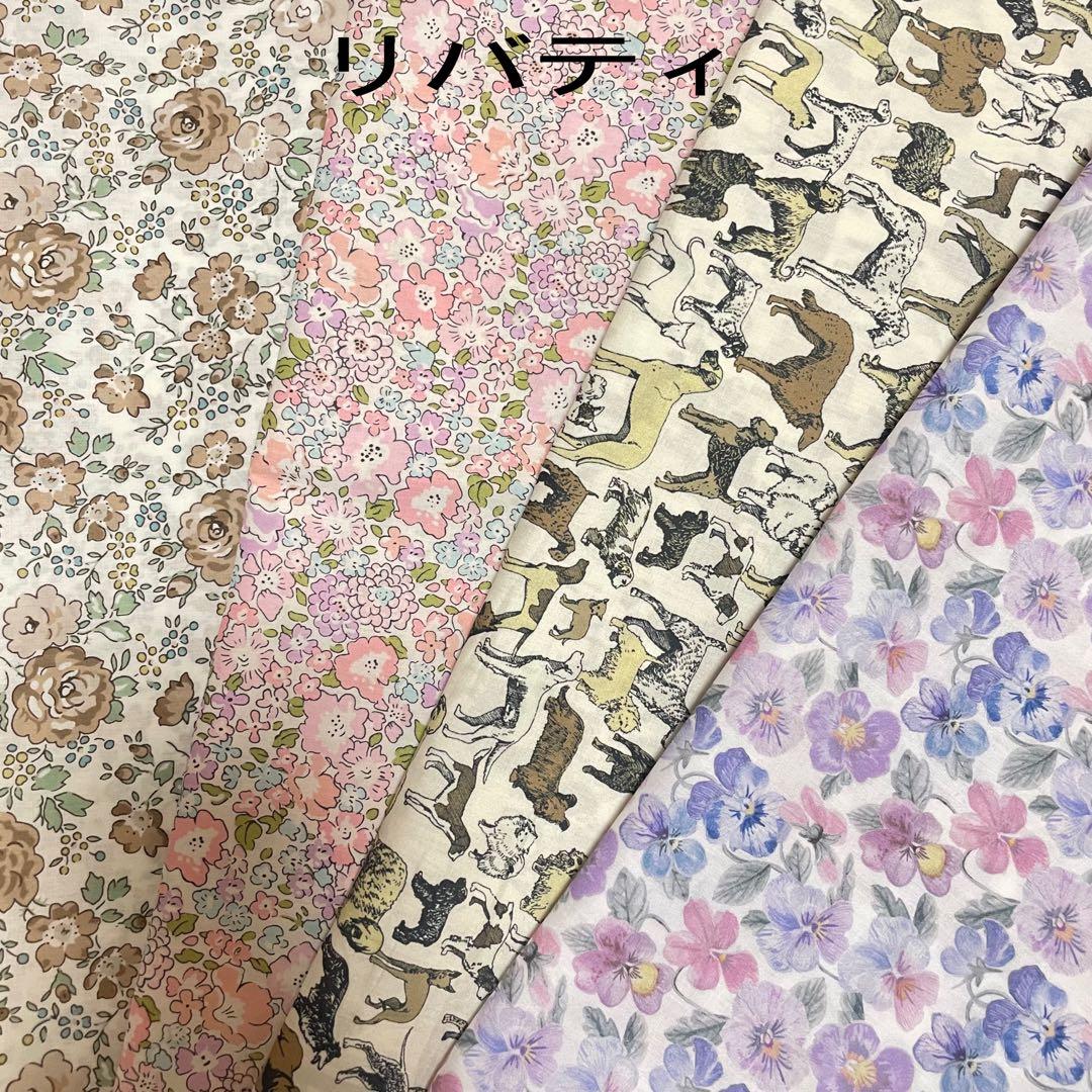 しーちきんページエヴリンtpmサイズバッグインバッグ